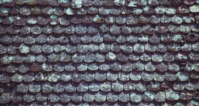 consejosparaevitarlasgoteraseninvierno 1920w