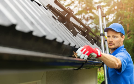 limpiezadecanalonesenabantoyciervana 1920w