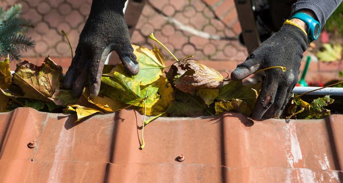 limpiezaymantenimientodecanalonesapreciobaratoenbilbao vizcaya 1920w