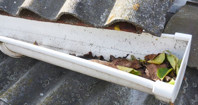 realizarlimpiezaaanualdeloscanalonesaprecioeconomicoenbilbao vizcaya 1920w